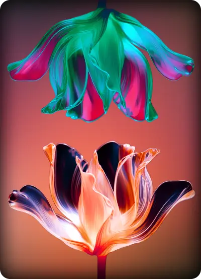 tipnine antalya dijital pazarlama ajansı